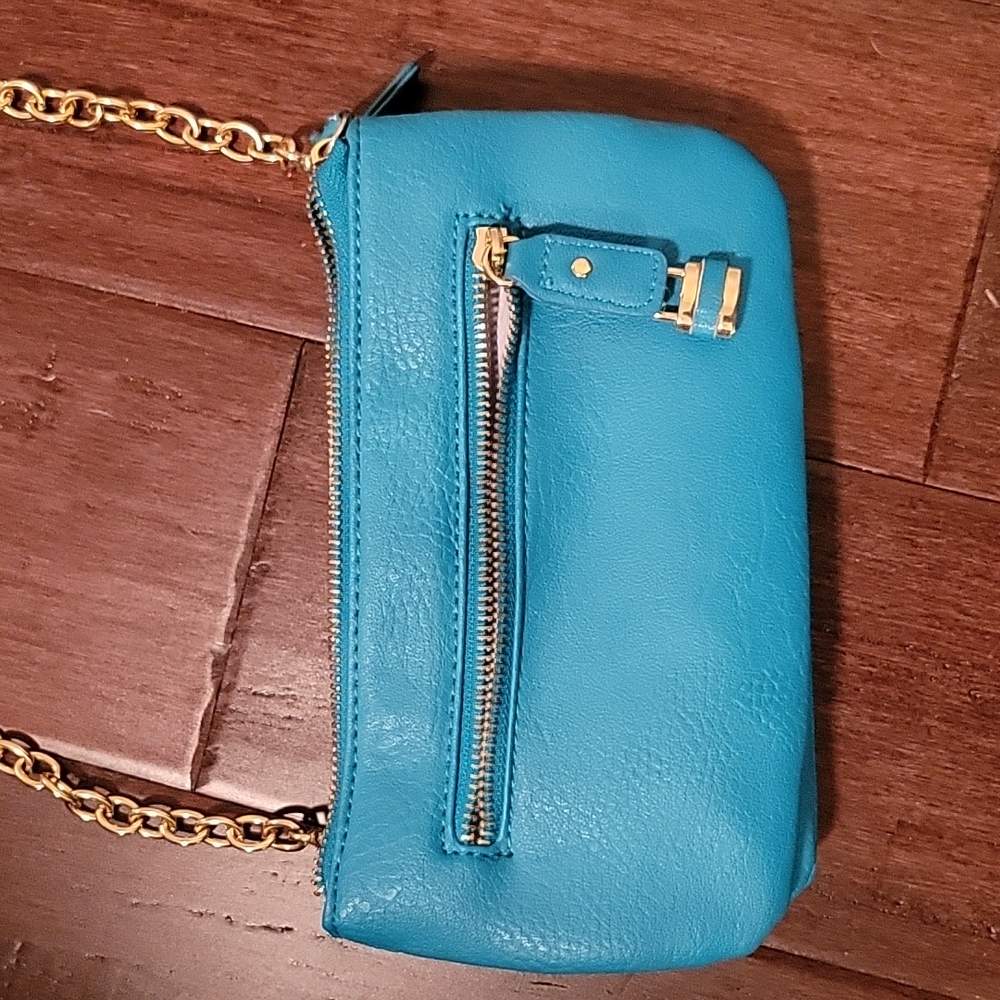 Charming Charlie purse
